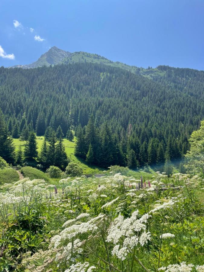 T2 Vue Sur Le Parc De La Vanoise La Plagne Exterior photo